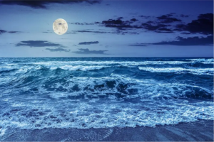 Lire la suite à propos de l’article Conférence « Les marées et le mascaret », le vendredi 27/03/2026 à 20h30